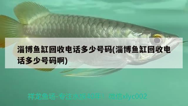 淄博魚(yú)缸回收電話(huà)多少號(hào)碼(淄博魚(yú)缸回收電話(huà)多少號(hào)碼啊) 雙線(xiàn)側(cè)魚(yú)