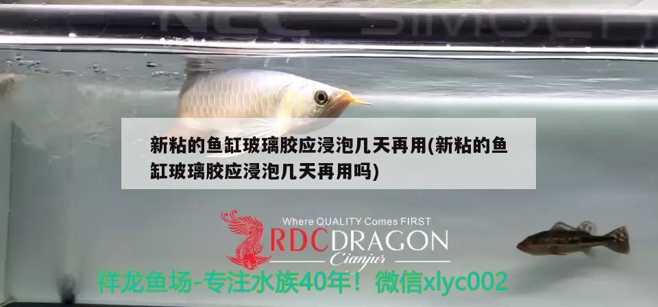 新粘的魚缸玻璃膠應(yīng)浸泡幾天再用(新粘的魚缸玻璃膠應(yīng)浸泡幾天再用嗎) 蘇虎