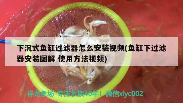 下沉式魚缸過濾器怎么安裝視頻(魚缸下過濾器安裝圖解使用方法視頻) 魟魚百科