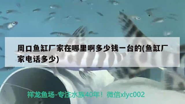 周口魚缸廠家在哪里啊多少錢一臺(tái)的(魚缸廠家電話多少) 白子銀龍魚苗