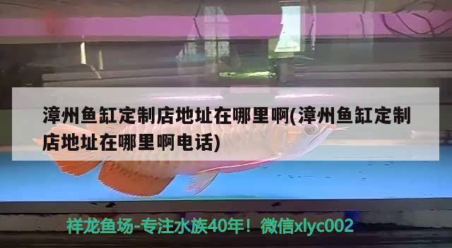 漳州魚缸定制店地址在哪里啊(漳州魚缸定制店地址在哪里啊電話) 黃金貓魚