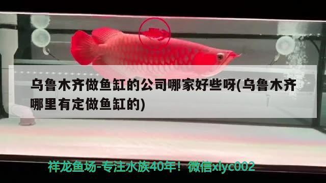 烏魯木齊做魚缸的公司哪家好些呀(烏魯木齊哪里有定做魚缸的)