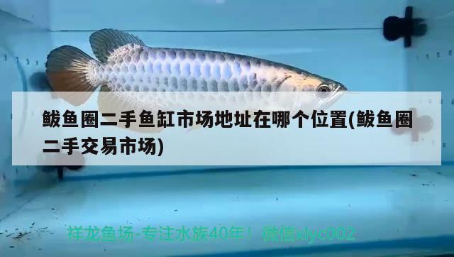 鲅魚(yú)圈二手魚(yú)缸市場(chǎng)地址在哪個(gè)位置(鲅魚(yú)圈二手交易市場(chǎng))