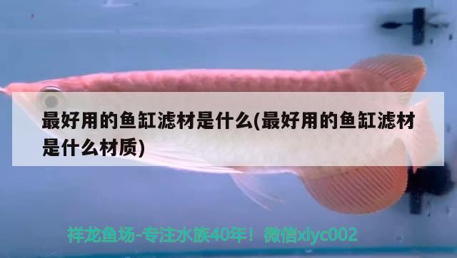 最好用的魚缸濾材是什么(最好用的魚缸濾材是什么材質(zhì))