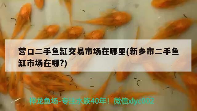 營口二手魚缸交易市場(chǎng)在哪里(新鄉(xiāng)市二手魚缸市場(chǎng)在哪?)