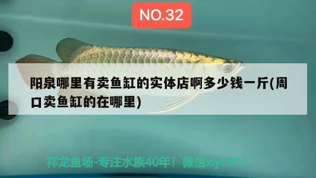 陽泉哪里有賣魚缸的實體店啊多少錢一斤(周口賣魚缸的在哪里)