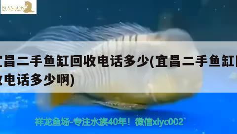 宜昌二手魚缸回收電話多少(宜昌二手魚缸回收電話多少啊)