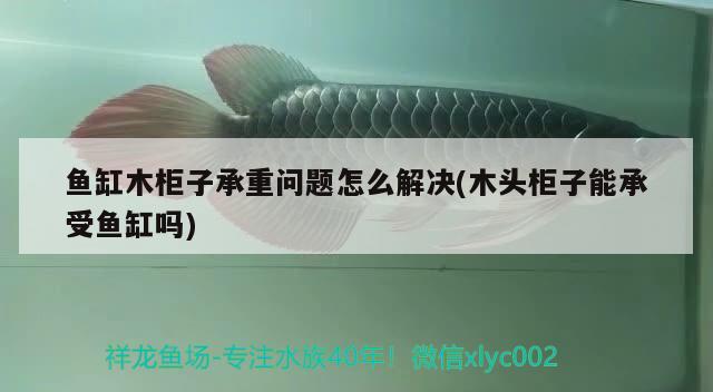 魚(yú)缸木柜子承重問(wèn)題怎么解決(木頭柜子能承受魚(yú)缸嗎)