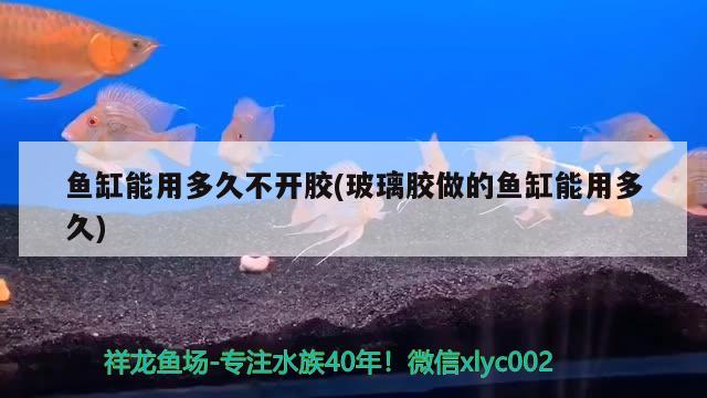 魚缸能用多久不開膠(玻璃膠做的魚缸能用多久)