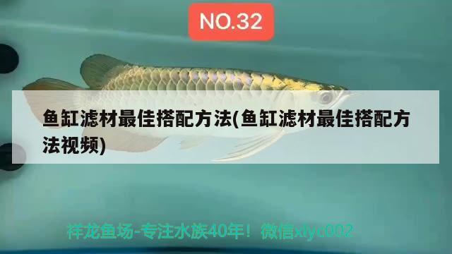 魚缸濾材最佳搭配方法(魚缸濾材最佳搭配方法視頻) 七紋巨鯉魚 第1張