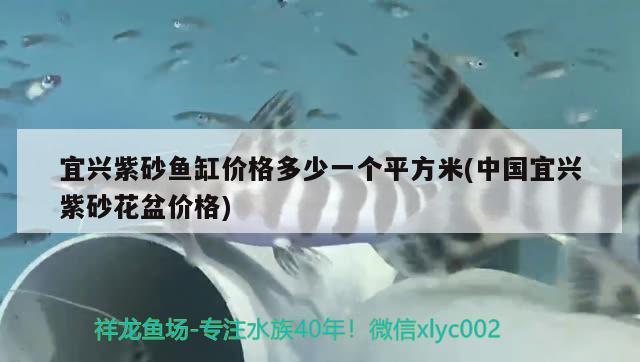 宜興紫砂魚缸價(jià)格多少一個(gè)平方米(中國(guó)宜興紫砂花盆價(jià)格)