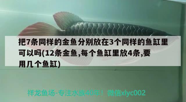 把7條同樣的金魚分別放在3個(gè)同樣的魚缸里可以嗎(12條金魚,每個(gè)魚缸里放4條,要用幾個(gè)魚缸)