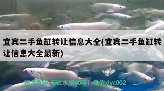 宜賓二手魚缸轉讓信息大全(宜賓二手魚缸轉讓信息大全最新)