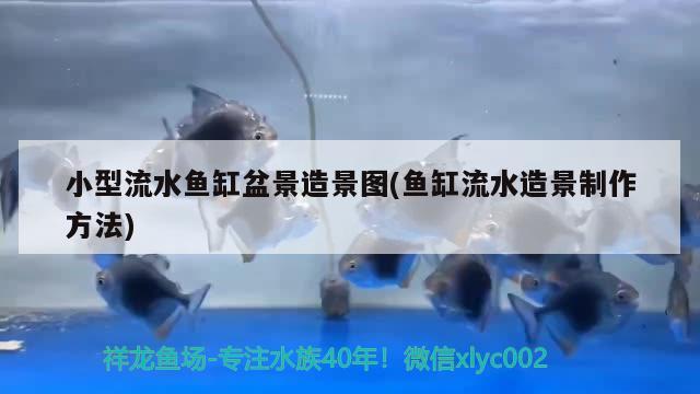 小型流水魚缸盆景造景圖(魚缸流水造景制作方法) 廣州水族器材濾材批發(fā)市場(chǎng)