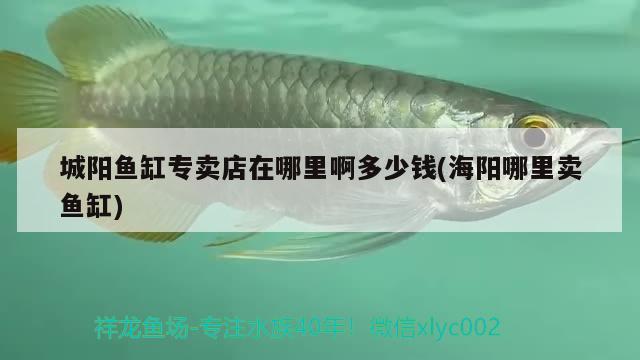 城陽魚缸專賣店在哪里啊多少錢(海陽哪里賣魚缸)