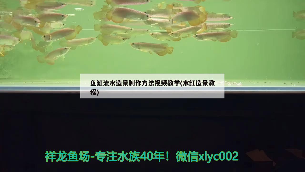 魚缸流水造景制作方法視頻教學(xué)(水缸造景教程) 白化火箭