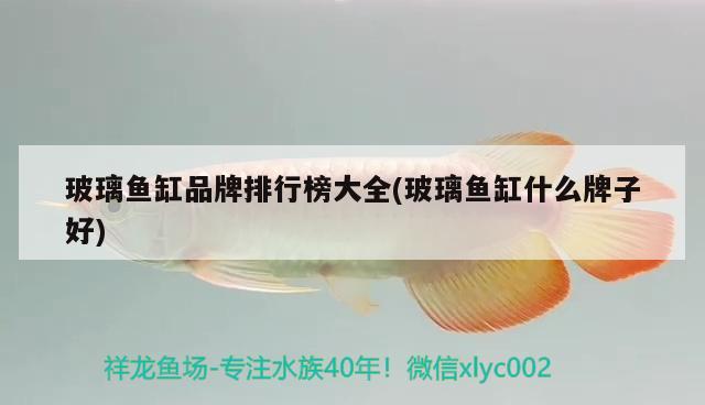 玻璃魚缸品牌排行榜大全(玻璃魚缸什么牌子好)