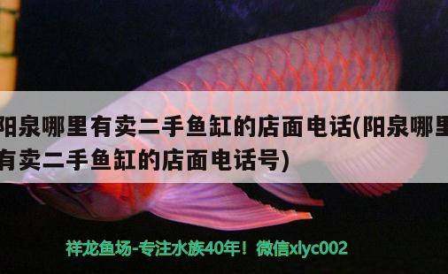 陽泉哪里有賣二手魚缸的店面電話(陽泉哪里有賣二手魚缸的店面電話號(hào))