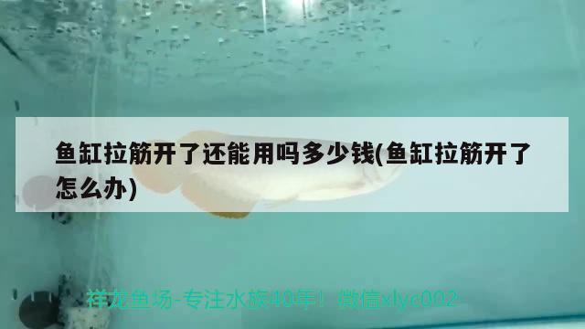 魚缸拉筋開了還能用嗎多少錢(魚缸拉筋開了怎么辦) 廣州龍魚批發(fā)市場