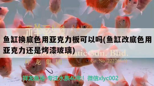 魚缸換底色用亞克力板可以嗎(魚缸改底色用亞克力還是烤漆玻璃)