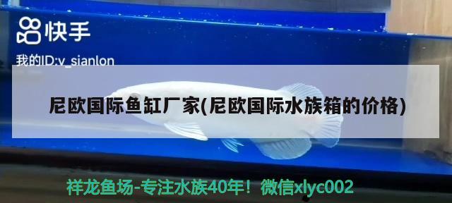 尼歐國際魚缸廠家(尼歐國際水族箱的價格) 魚缸/水族箱