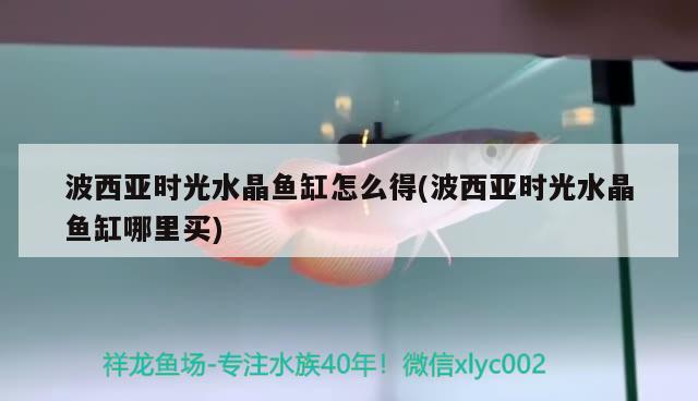 波西亞時光水晶魚缸怎么得(波西亞時光水晶魚缸哪里買) 大日玉鯖魚