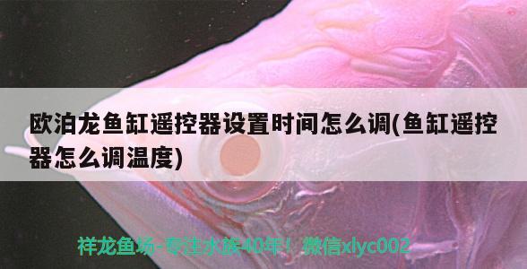 歐泊龍魚缸遙控器設(shè)置時間怎么調(diào)(魚缸遙控器怎么調(diào)溫度) 黃金夢幻雷龍魚 第2張