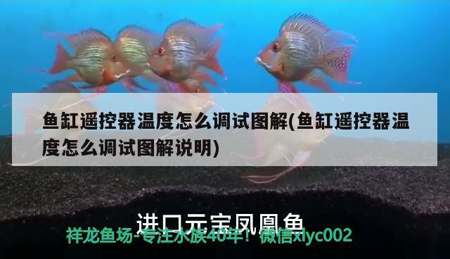 魚缸遙控器溫度怎么調(diào)試圖解(魚缸遙控器溫度怎么調(diào)試圖解說明) 觀賞魚魚苗