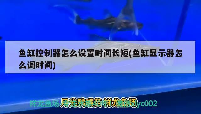 魚缸控制器怎么設置時間長短(魚缸顯示器怎么調時間)