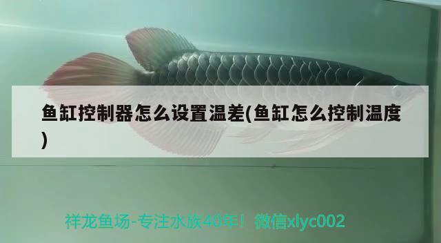 魚缸控制器怎么設(shè)置溫差(魚缸怎么控制溫度) 野生埃及神仙魚