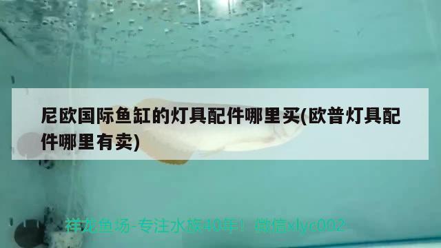 尼歐國際魚缸的燈具配件哪里買(歐普燈具配件哪里有賣)