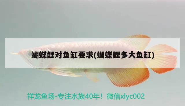 蝴蝶鯉對魚缸要求(蝴蝶鯉多大魚缸) 蝴蝶鯉