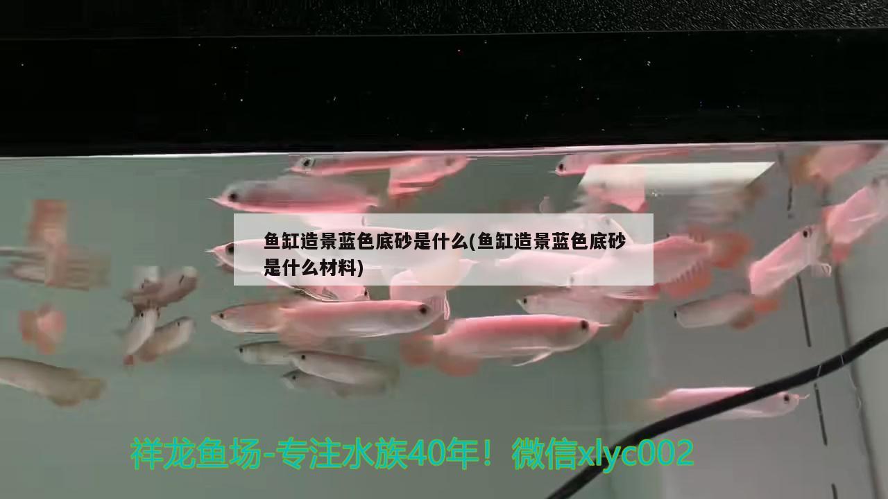 魚缸造景藍(lán)色底砂是什么(魚缸造景藍(lán)色底砂是什么材料)