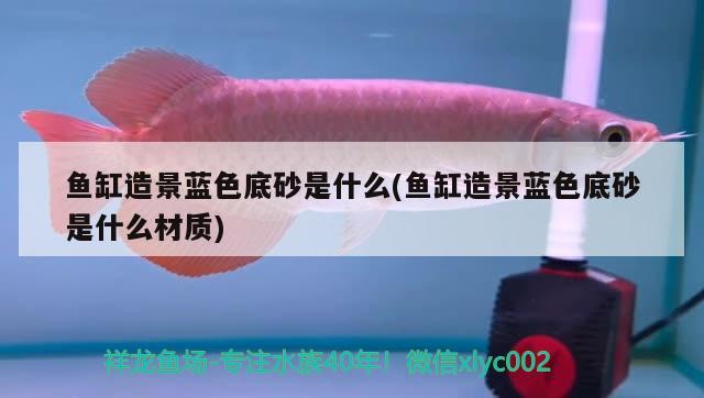 魚缸造景藍色底砂是什么(魚缸造景藍色底砂是什么材質(zhì)) 水族燈（魚缸燈）