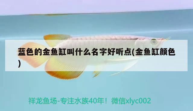 藍(lán)色的金魚缸叫什么名字好聽(tīng)點(diǎn)(金魚缸顏色)