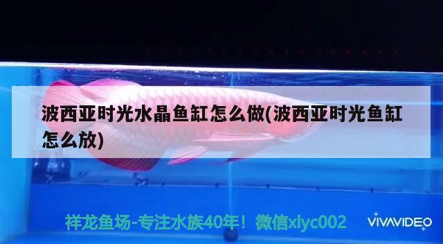 波西亞時光水晶魚缸怎么做(波西亞時光魚缸怎么放)