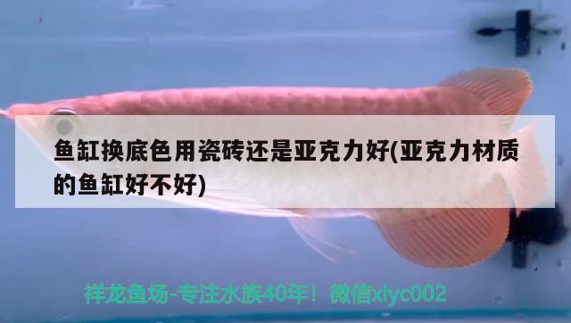 魚缸換底色用瓷磚還是亞克力好(亞克力材質(zhì)的魚缸好不好) 祥龍魚場(chǎng)其他產(chǎn)品