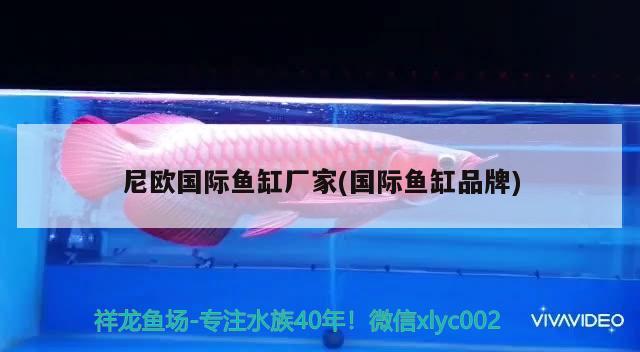 尼歐國際魚缸廠家(國際魚缸品牌)