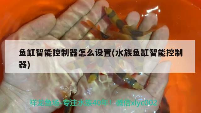 魚缸智能控制器怎么設置(水族魚缸智能控制器)