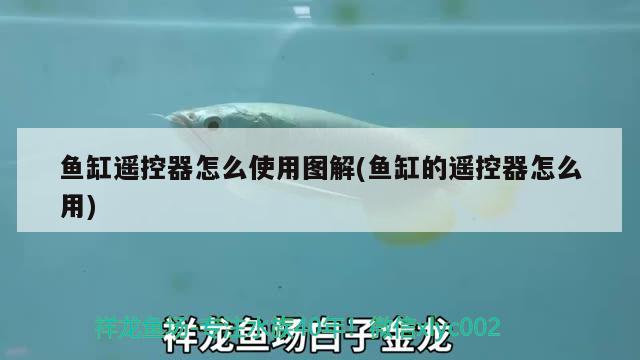 魚缸遙控器怎么使用圖解(魚缸的遙控器怎么用)