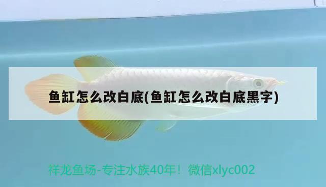 魚缸怎么改白底(魚缸怎么改白底黑字)