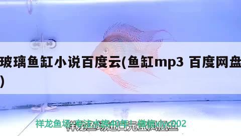 玻璃魚缸小說百度云(魚缸mp3百度網(wǎng)盤)