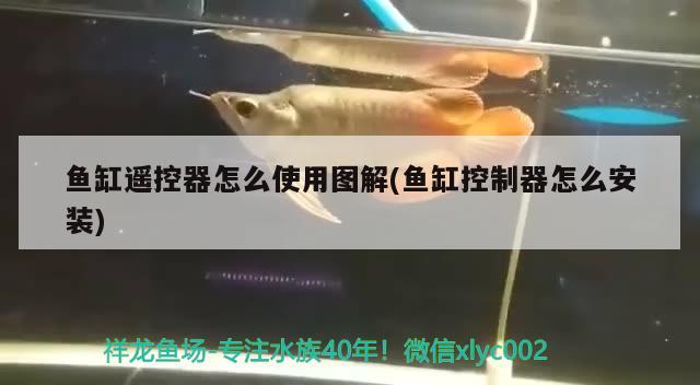 魚缸遙控器怎么使用圖解(魚缸控制器怎么安裝)