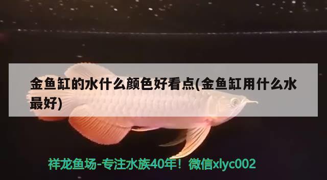 金魚缸的水什么顏色好看點(金魚缸用什么水最好) 水族燈（魚缸燈）