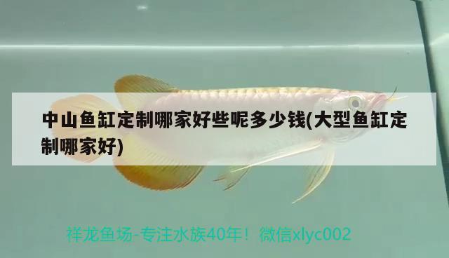 中山魚缸定制哪家好些呢多少錢(大型魚缸定制哪家好)