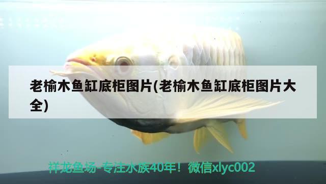 老榆木魚缸底柜圖片(老榆木魚缸底柜圖片大全) 高背金龍魚