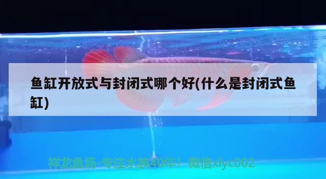 魚缸開放式與封閉式哪個(gè)好(什么是封閉式魚缸)