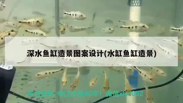 深水魚缸造景圖案設(shè)計(jì)(水缸魚缸造景) 印尼三紋虎