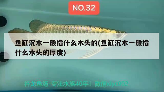 魚(yú)缸沉木一般指什么木頭的(魚(yú)缸沉木一般指什么木頭的厚度)