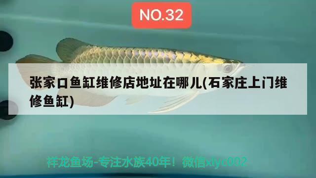 張家口魚缸維修店地址在哪兒(石家莊上門維修魚缸)